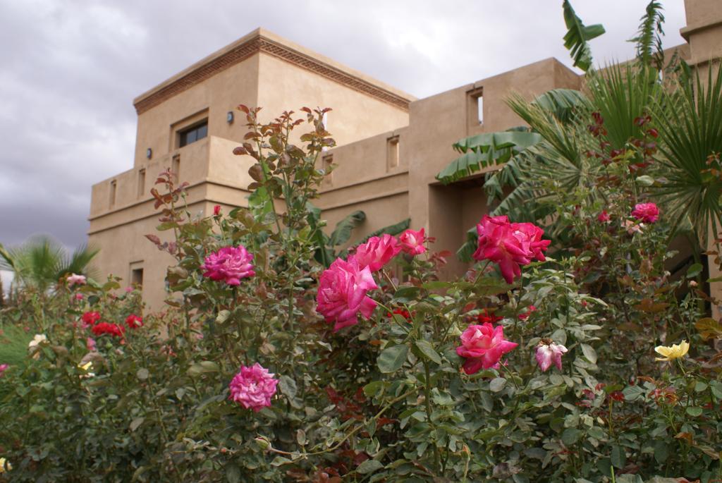 La Kasbah Aalma D'Or Hotel Najem Eksteriør billede